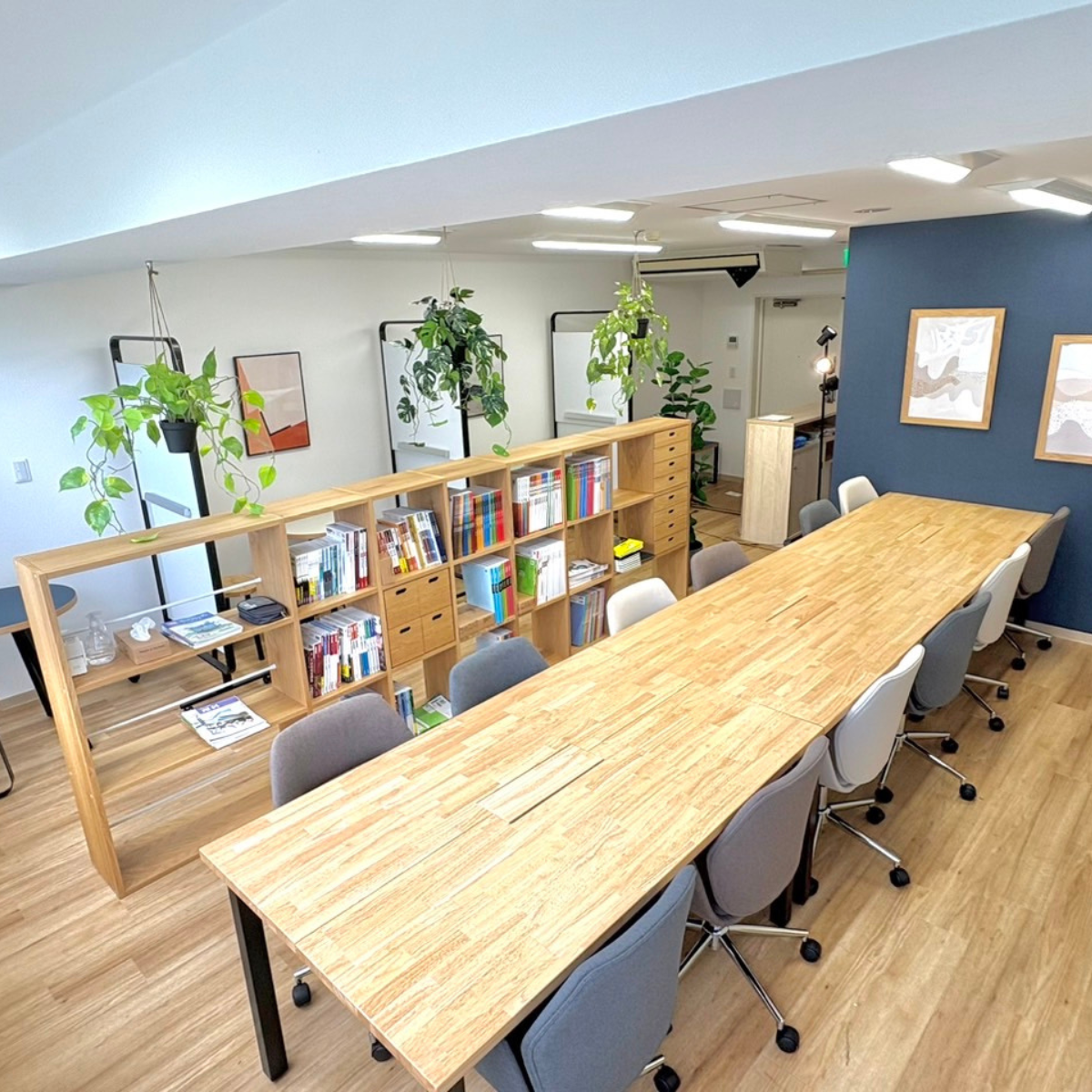 小学生 毎日通い放題コース